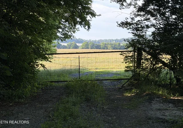 30th image of 1494 Rocky Valley Rd, New Market, TN 37820 | MLS# 1345571