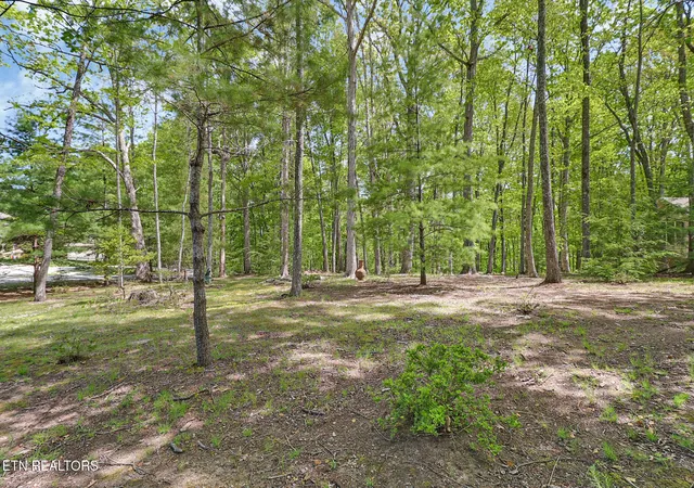 Homes for sale in Fairfield Glade, TN | 12 / 14 Ridge Crest Cir, Fairfield Glade, TN 38558 | MLS# 1345589