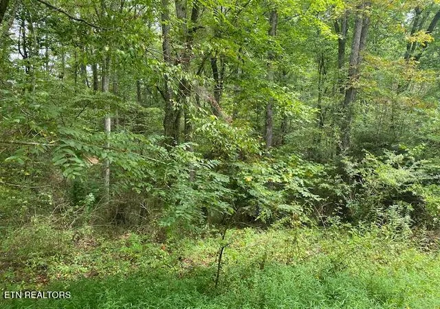 Photo 1 of Land for sale at 35 Ottoma Dr #35, Crossville, TN 38555 | MLS# 1345591 | Listing updated on 2026-08-20