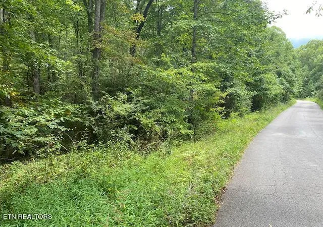 Photo 2 of Land for sale at 35 Ottoma Dr #35, Crossville, TN 38555 | MLS# 1345591 | Listing updated on 2026-08-20