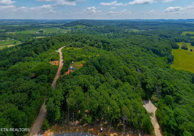 Homes for sale in Sweetwater, TN | Poplar Dr, Sweetwater, TN 37826 | MLS# 1345655