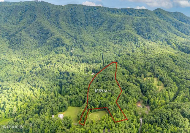 Homes for sale in Seymour, TN | 1827 Old Chilhowee Loop, Seymour, TN 37865 | MLS# 1345815