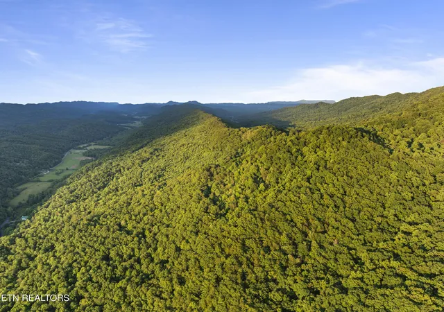 Homes for sale in Mooresburg, TN | Spruce Pine (330 Acres) Rd, Mooresburg, TN 37811 | MLS# 1345647