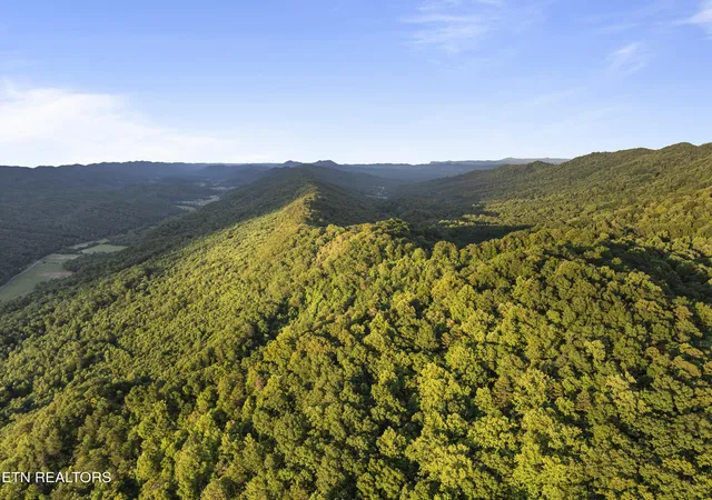 Homes for sale in Mooresburg, TN | Spruce Pine (330 Acres) Rd, Mooresburg, TN 37811 | MLS# 1345647