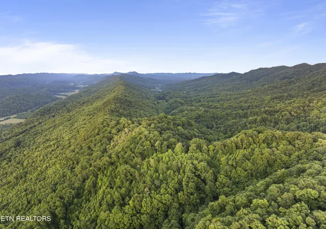 Homes for sale in Mooresburg, TN | Spruce Pine (330 Acres) Rd, Mooresburg, TN 37811 | MLS# 1345647