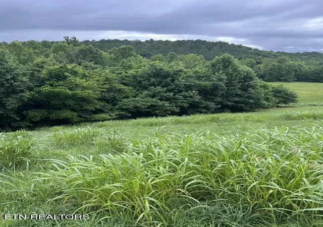 Photo 1 of Land for sale at Mill Dr, Decatur, TN 37322 | MLS# 1345707 | Listing updated on 2026-09-25
