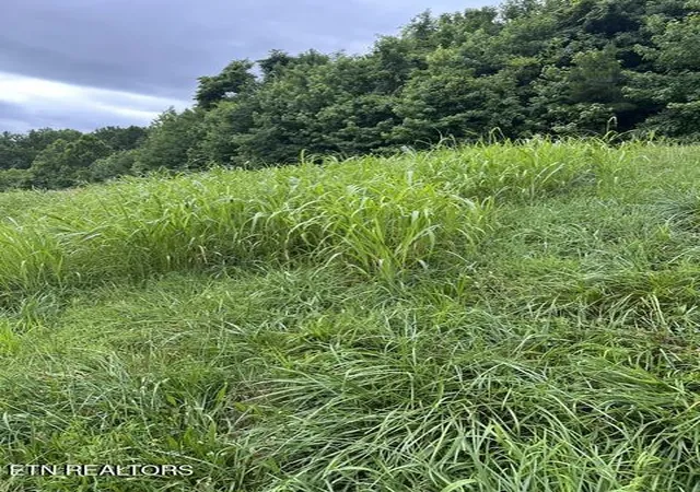 Photo 2 of Land for sale at Mill Dr, Decatur, TN 37322 | MLS# 1345707 | Listing updated on 2026-09-25
