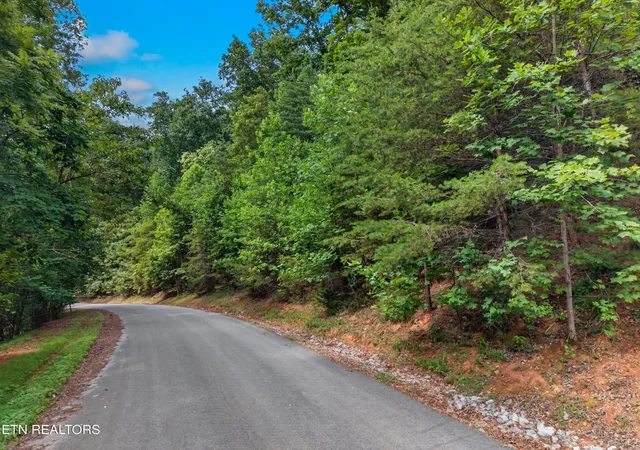 Homes for sale in New Tazewell, TN | Silver Tr, New Tazewell, TN 37825 | MLS# 1345633