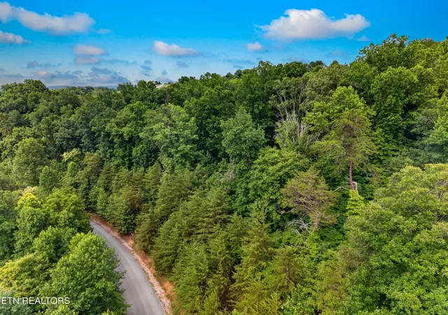 Homes for sale in New Tazewell, TN | Silver Tr, New Tazewell, TN 37825 | MLS# 1345633