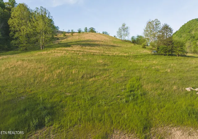 Homes for sale in Eidson, TN | Tract 12R Big Springs Rd, Eidson, TN 37731 | MLS# 1345638