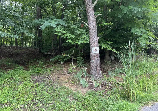 Homes for sale in Surgoinsville, TN | 223 West Snowflake Rd, Surgoinsville, TN 37873 | MLS# 1347172