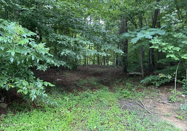 Homes for sale in Surgoinsville, TN | 223 West Snowflake Rd, Surgoinsville, TN 37873 | MLS# 1347172