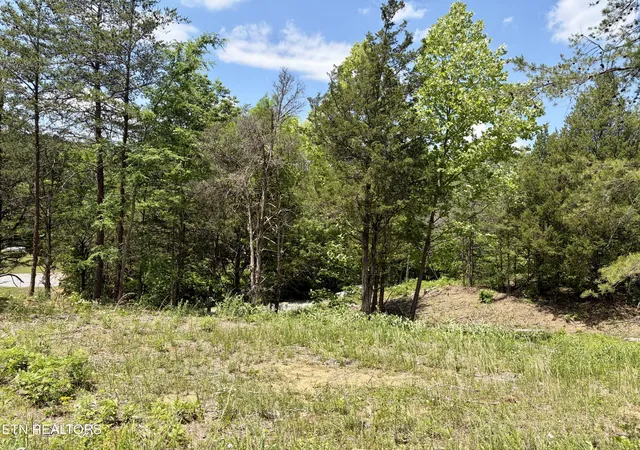 Homes for sale in Sevierville, TN | Burchfiel Wy, Sevierville, TN 37876 | MLS# 1345988