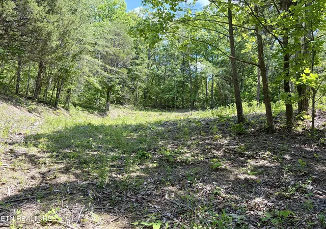 Homes for sale in Sevierville, TN | Burchfiel Wy, Sevierville, TN 37876 | MLS# 1345988