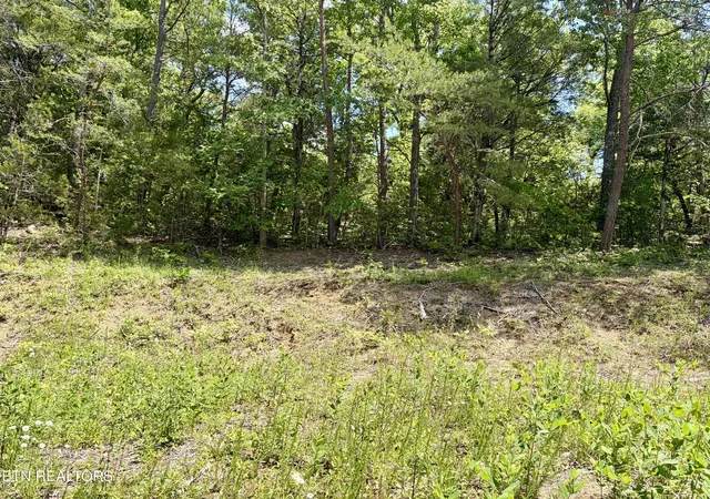 Homes for sale in Sevierville, TN | Burchfiel Wy, Sevierville, TN 37876 | MLS# 1345988