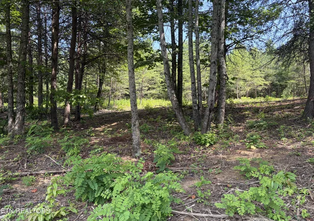 2nd image of 144 Red Wing Dr, Vonore, TN 37885 | MLS# 1345773