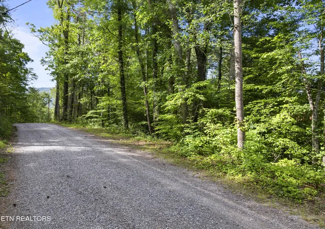 1st image of Tbd Grouse Top (lot 4) Rd, Walland, TN 37886 | MLS# 1345833