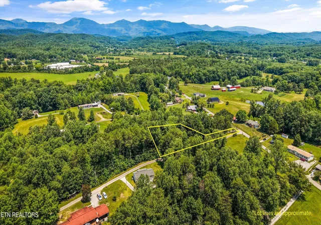 Homes for sale in Oliver Springs, TN | 250 Ollis Rd, Oliver Springs, TN 37840 | MLS# 1346164