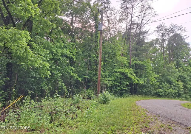Homes for sale in Tellico Plains, TN | 160 Mountain Rd, Tellico Plains, TN 37385 | MLS# 1345820