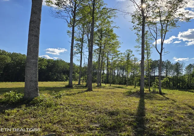 Homes for sale in Sunbright, TN | 80+/  Ac Red Hill Rd, Sunbright, TN 37872 | MLS# 1345742