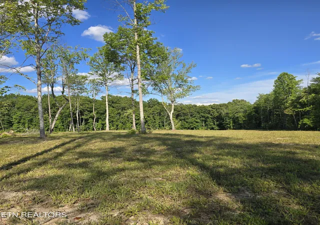 Homes for sale in Sunbright, TN | 80+/  Ac Red Hill Rd, Sunbright, TN 37872 | MLS# 1345742
