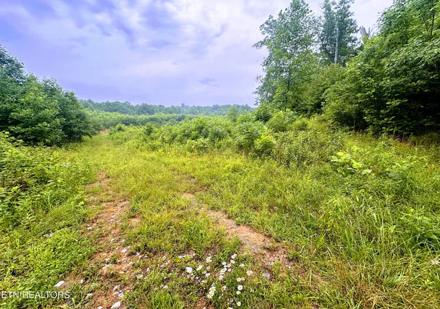 1st image of 1344 Chestnut Ridge Rd, Allardt, TN 38504 | MLS# 1345787