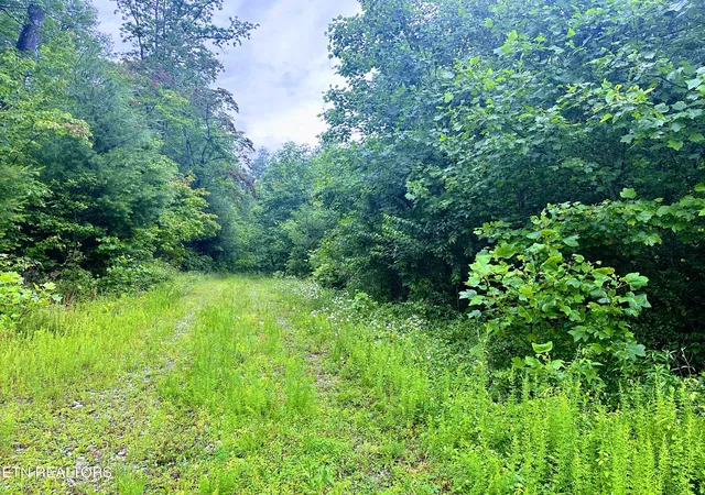 2nd image of 1344 Chestnut Ridge Rd, Allardt, TN 38504 | MLS# 1345787