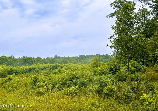 3rd image of 1344 Chestnut Ridge Rd, Allardt, TN 38504 | MLS# 1345787