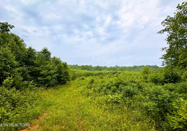 4th image of 1344 Chestnut Ridge Rd, Allardt, TN 38504 | MLS# 1345787