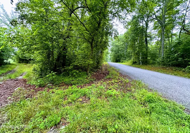 5th image of 1344 Chestnut Ridge Rd, Allardt, TN 38504 | MLS# 1345787