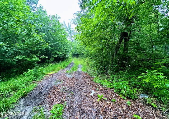 8th image of 1344 Chestnut Ridge Rd, Allardt, TN 38504 | MLS# 1345787