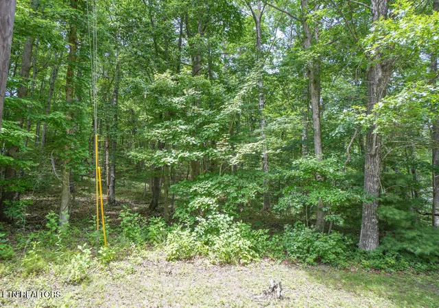 1st image of S Peterson Rd, Tallassee, TN 37878 | MLS# 1346062