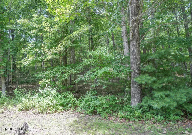 2nd image of S Peterson Rd, Tallassee, TN 37878 | MLS# 1346062