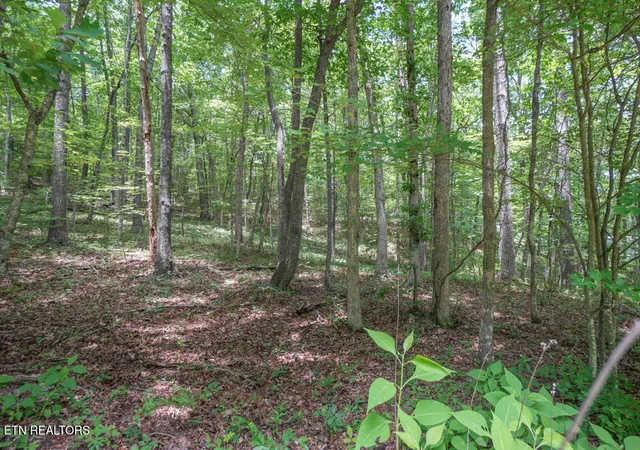 3rd image of S Peterson Rd, Tallassee, TN 37878 | MLS# 1346062