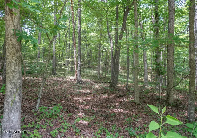 4th image of S Peterson Rd, Tallassee, TN 37878 | MLS# 1346062