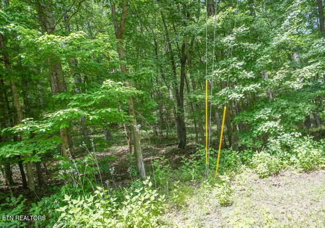 5th image of S Peterson Rd, Tallassee, TN 37878 | MLS# 1346062