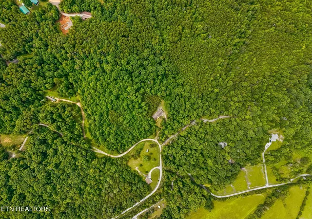 47th image of 650 Gamble Gap Rd, Tellico Plains, TN 37385 | MLS# 1346009
