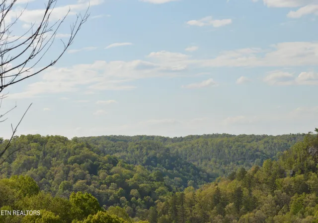 2nd image of 1501 Rob Watson Rd, Oneida, TN 37841 | MLS# 1345901