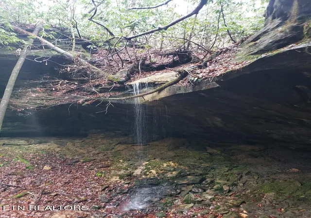 4th image of 1501 Rob Watson Rd, Oneida, TN 37841 | MLS# 1345901