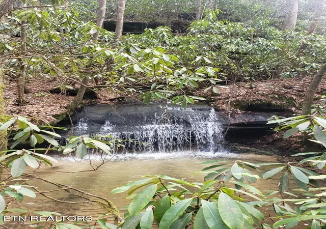 9th image of 1501 Rob Watson Rd, Oneida, TN 37841 | MLS# 1345901