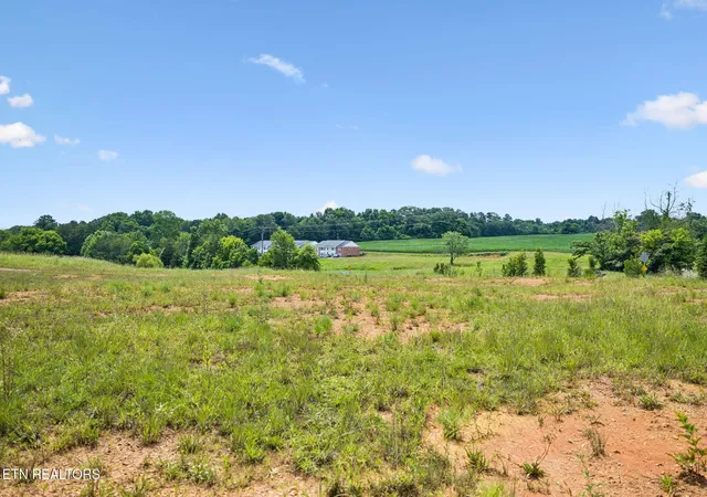 4th image of 307 Tennessee 360, Vonore, TN 37885 | MLS# 1345941