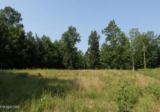 Homes for sale in Gainesboro, TN | 1387ac Pleasant Cemetery Lane, Gainesboro, TN 38562 | MLS# 1345961