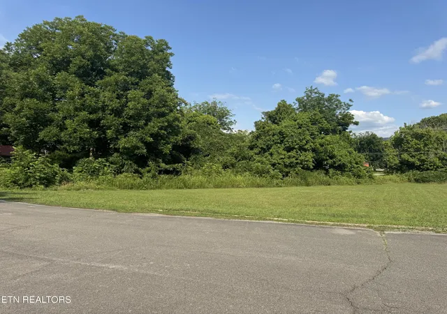 Homes for sale in Etowah, TN | 947 Ac Washington Ave, Etowah, TN 37331 | MLS# 1346024