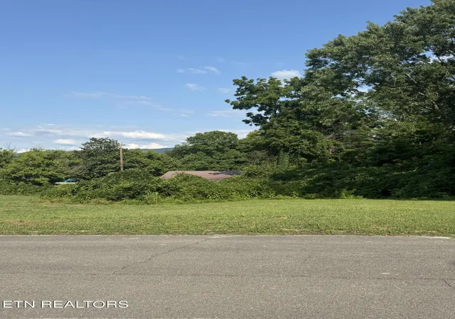 Homes for sale in Etowah, TN | 947 Ac Washington Ave, Etowah, TN 37331 | MLS# 1346024