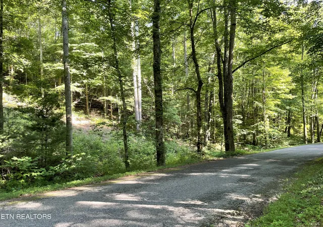 Homes for sale in Tellico Plains, TN | Turkey Creek Rd, Tellico Plains, TN 37385 | MLS# 1346567