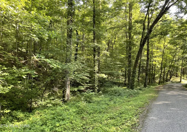 Homes for sale in Tellico Plains, TN | Turkey Creek Rd, Tellico Plains, TN 37385 | MLS# 1346567