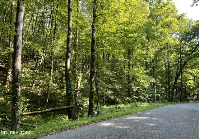 Homes for sale in Tellico Plains, TN | Turkey Creek Rd, Tellico Plains, TN 37385 | MLS# 1346567