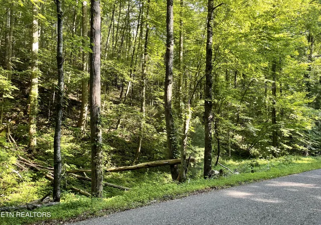 Homes for sale in Tellico Plains, TN | Turkey Creek Rd, Tellico Plains, TN 37385 | MLS# 1346567