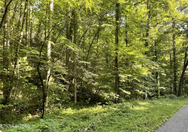 Homes for sale in Tellico Plains, TN | Turkey Creek Rd, Tellico Plains, TN 37385 | MLS# 1346567
