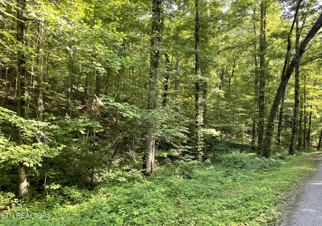 Homes for sale in Tellico Plains, TN | Turkey Creek Rd, Tellico Plains, TN 37385 | MLS# 1346567